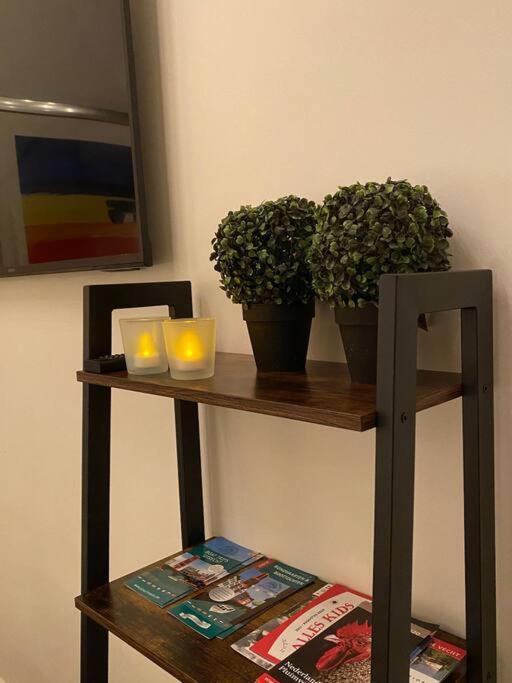 Duinhoek: Luxe Studio, Prachtig En Rustig Gelegen 제이스트 외부 사진